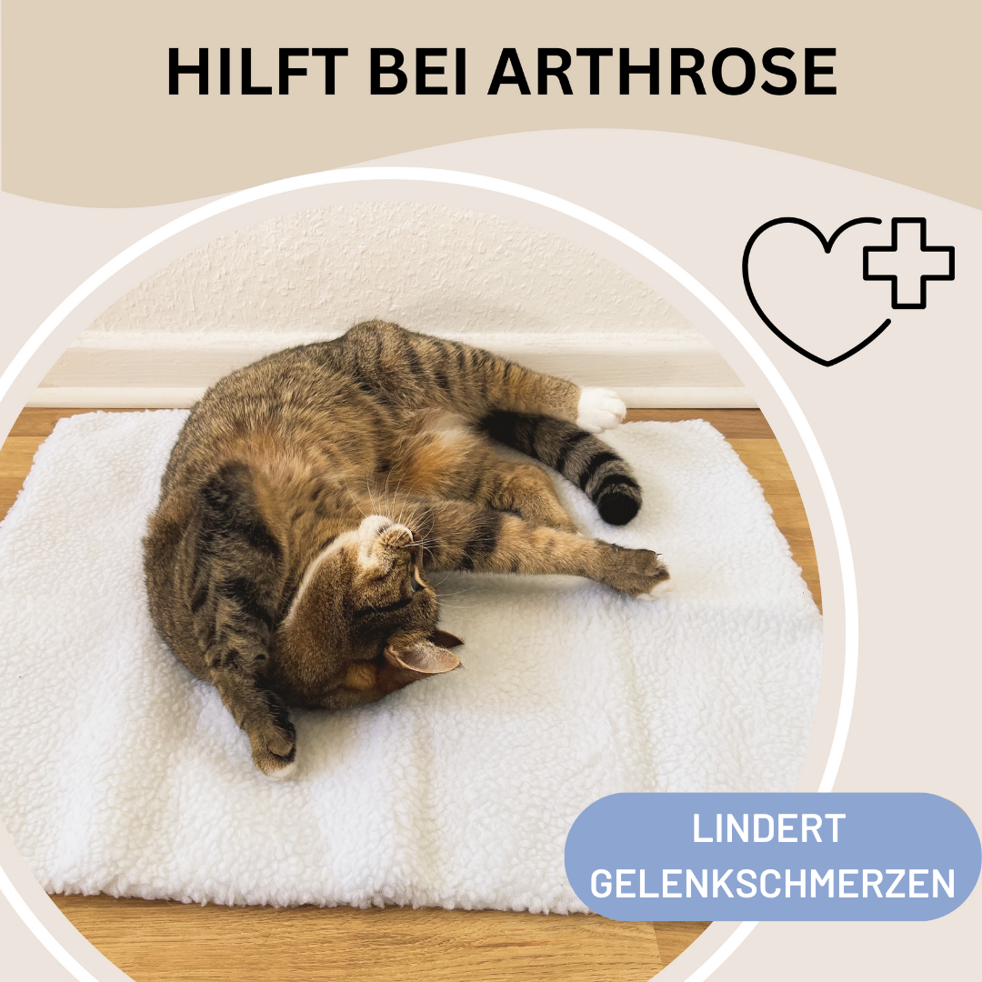Selbstwärmende PetMat