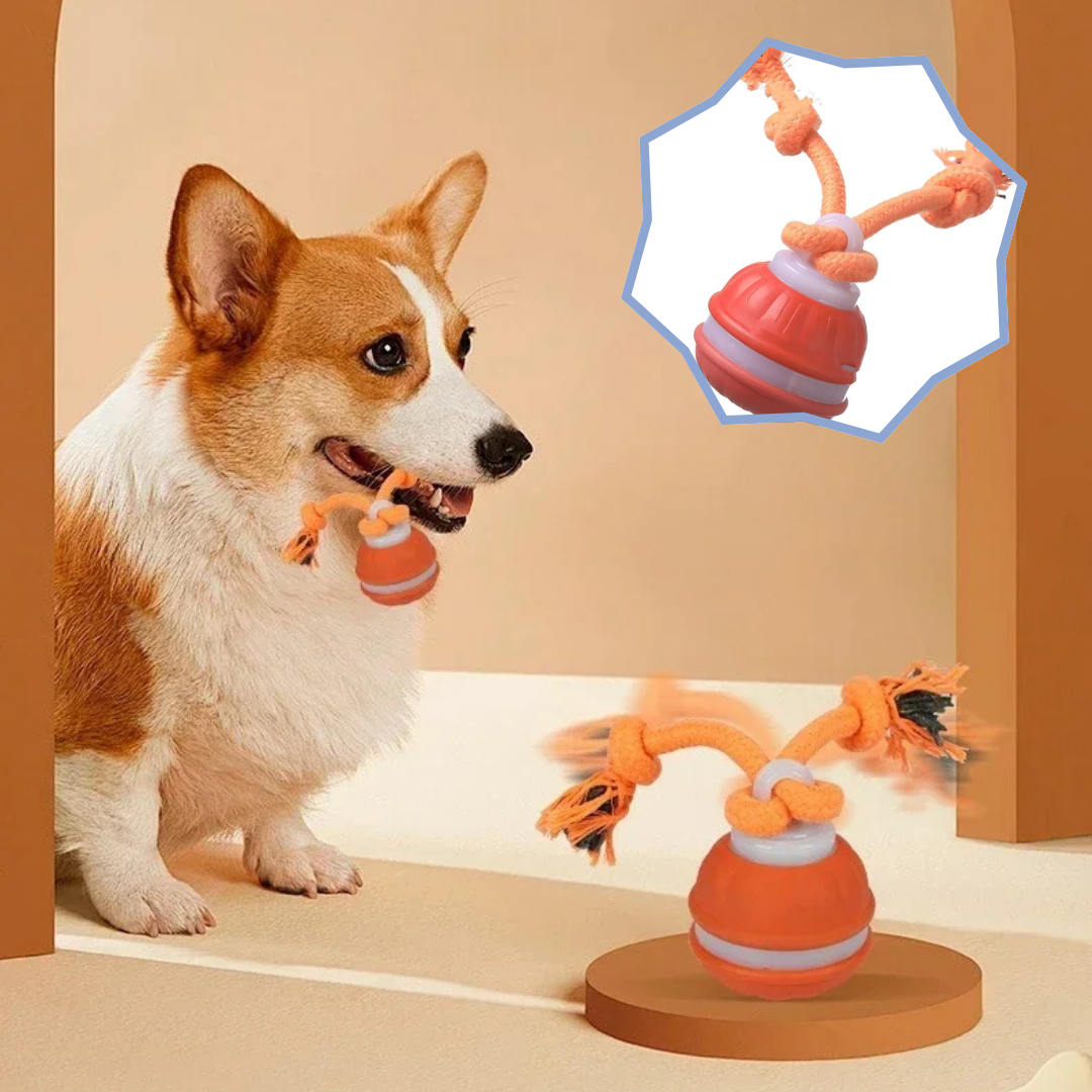 PawMotion™ - SmartBall