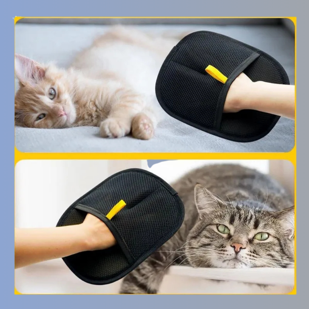 Tierhaar-Entfernungs-Handschuh