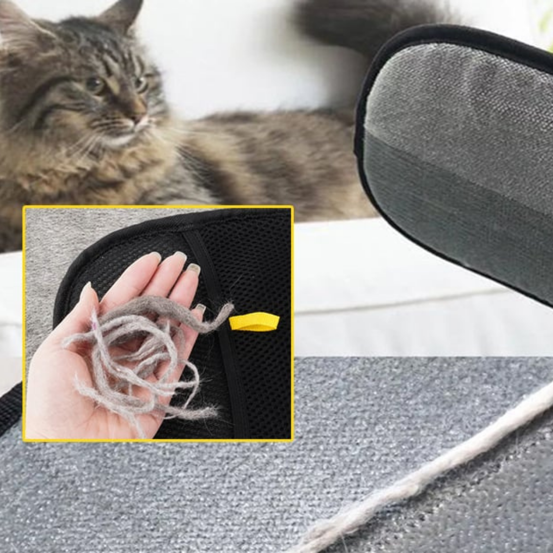 Tierhaar-Entfernungs-Handschuh