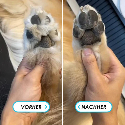 Hunde- und Katzenpfoten Trimmer