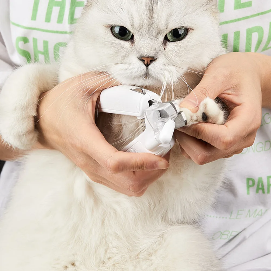 LED Krallenschneider für Hunde und Katzen