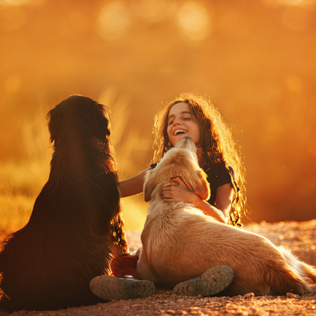 LED Krallenschneider für Hunde und Katzen