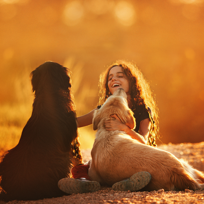 LED Krallenschneider für Hunde und Katzen