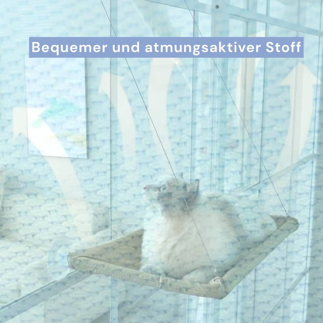 FensterNest für Katzen