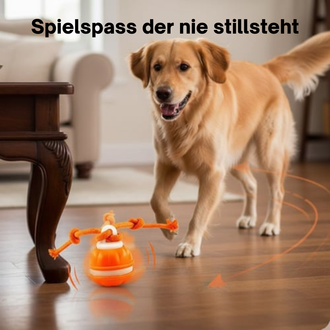 PawMotion™ - SmartBall