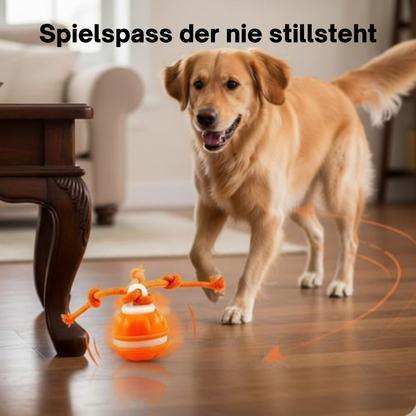 PawMotion™ - SmartBall