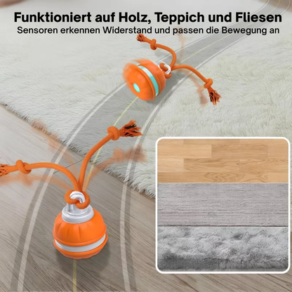 PawMotion™ - SmartBall