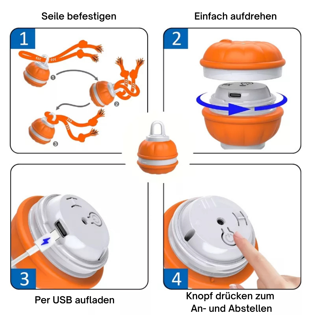 PawMotion™ - SmartBall