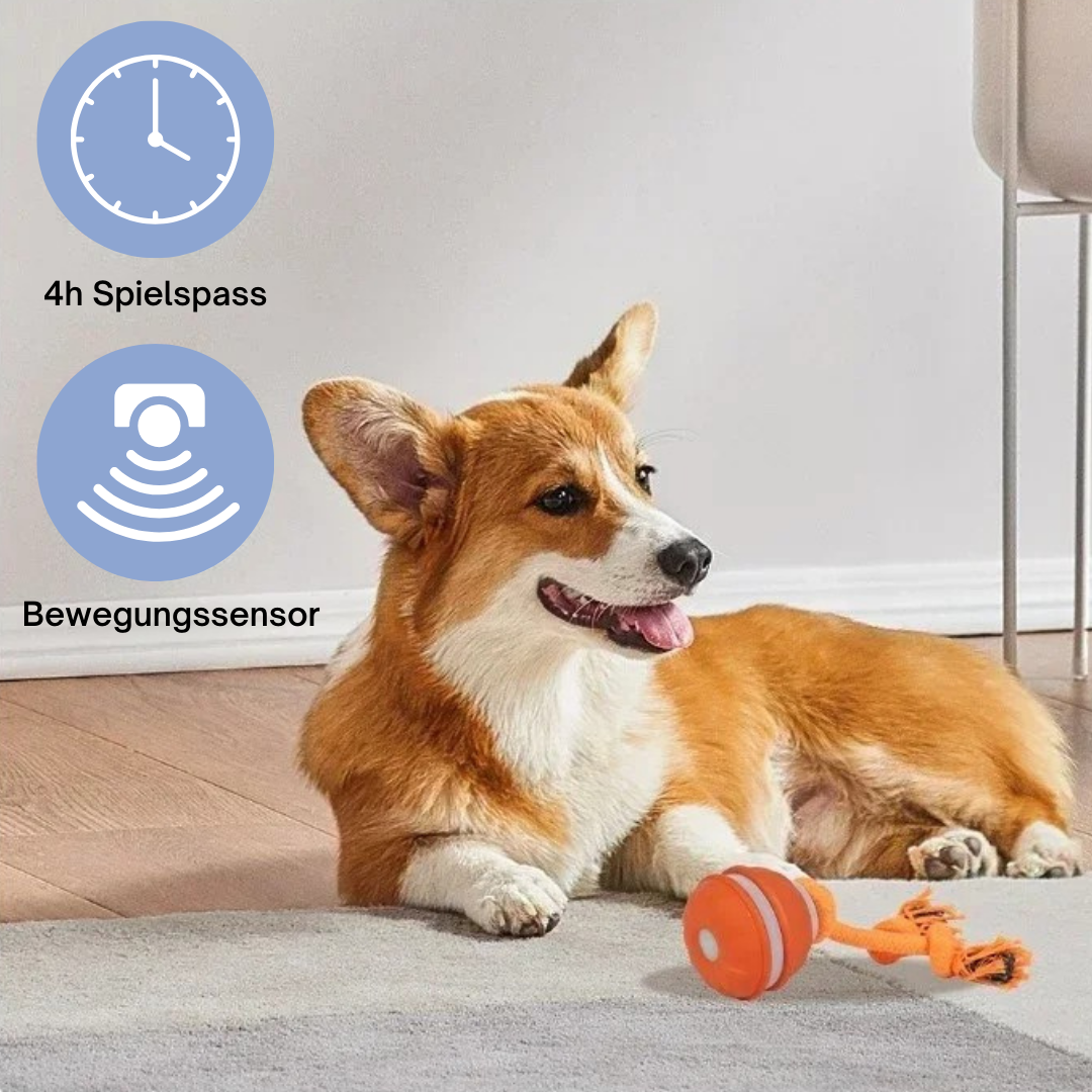 PawMotion™ - SmartBall