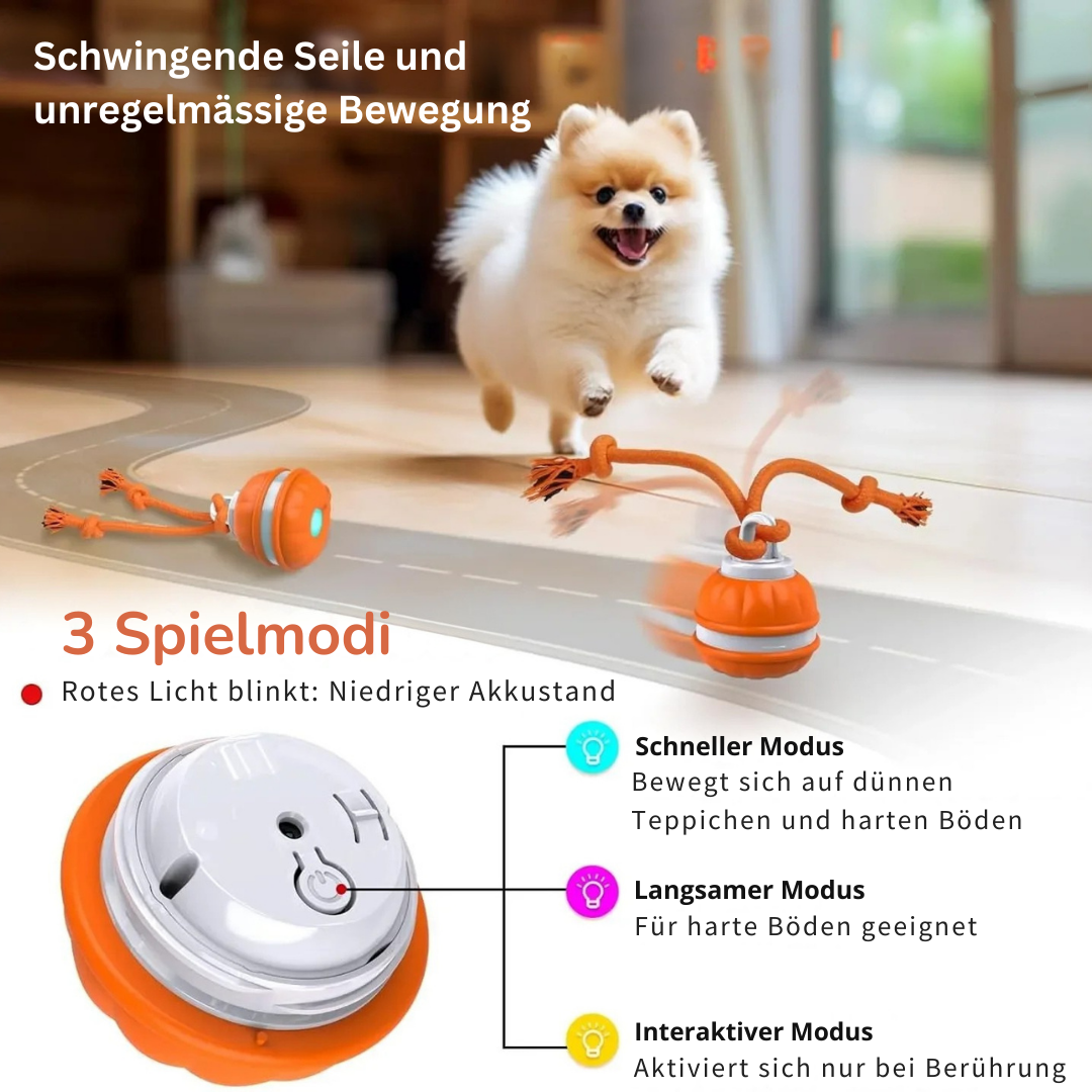 PawMotion™ - SmartBall