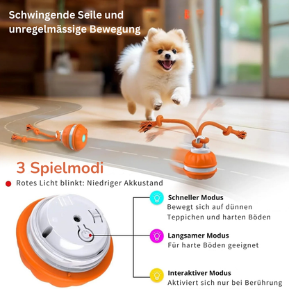 PawMotion™ - SmartBall