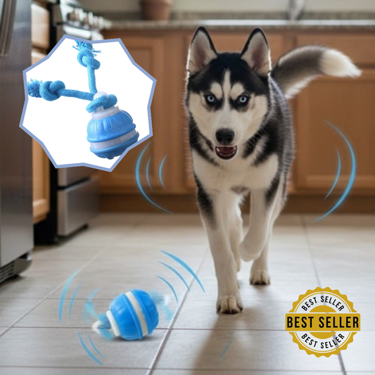 PawMotion™ - SmartBall